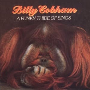 Billy Cobham - A Funky Thide of Sings