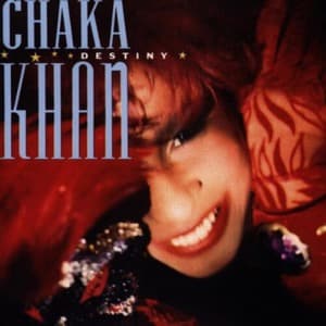 Chaka Khan - Destiny