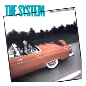 The System - Don't Disturb This Groove